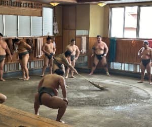 Grand Sumo: Takasago Stable Morning Practice